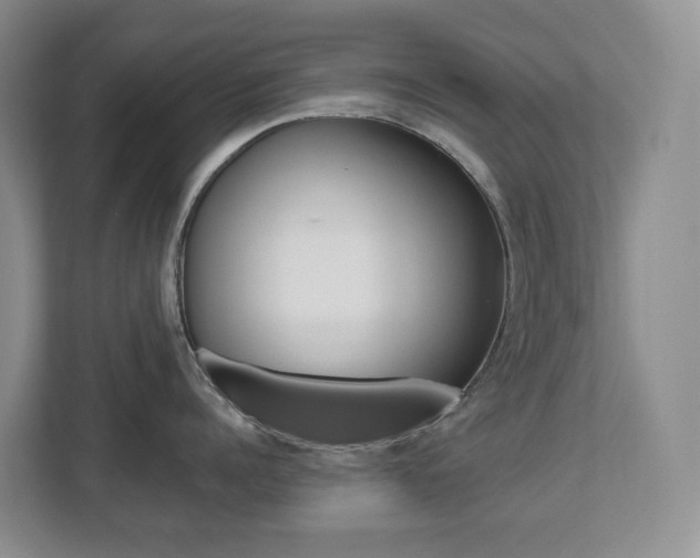 X0000112500960200908171009