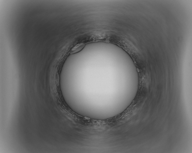 X0000112500961200908171008