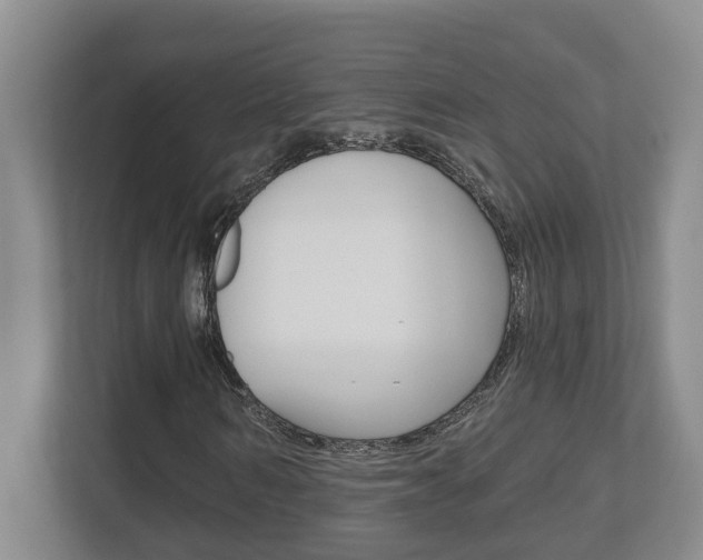 X0000112500962200908171008
