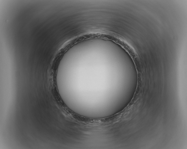 X0000112500968200908171008