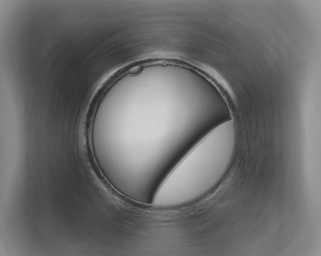 X0000112500972200908171008