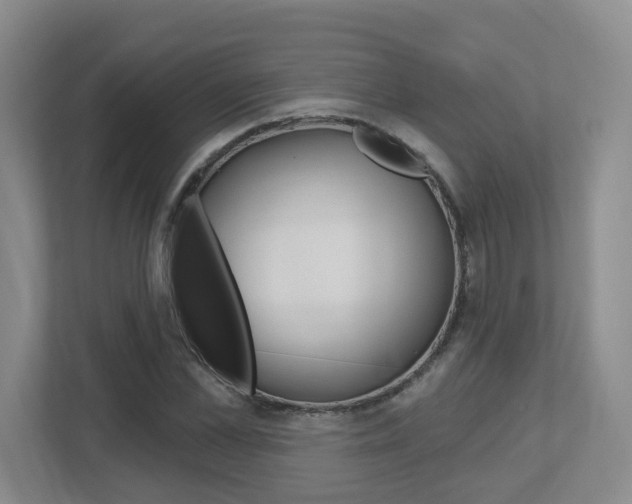 X0000112500973200908171008