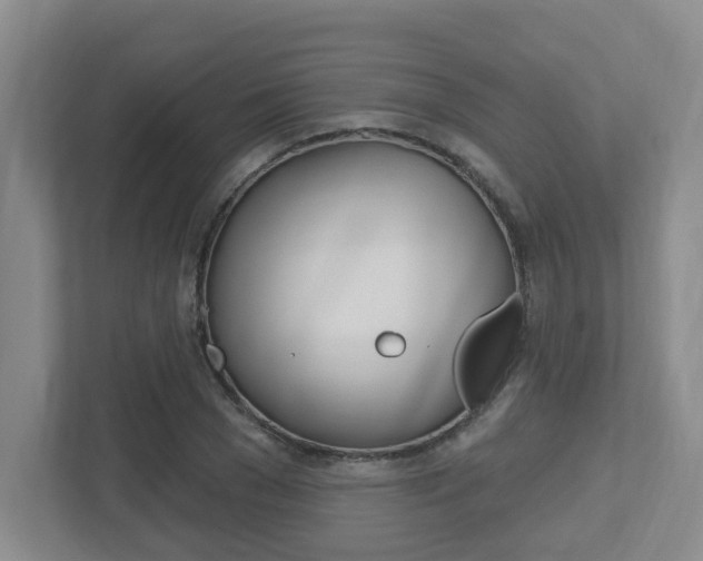 X0000112500977200908171008