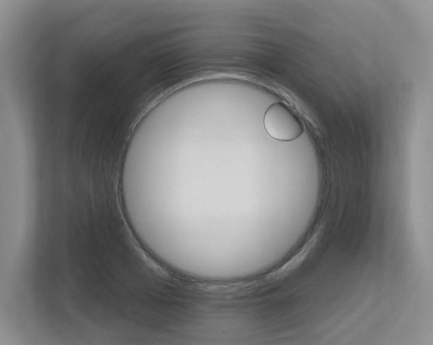 X0000112500985200908171008