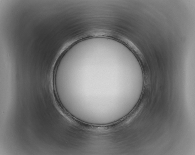 X0000112500986200908171008