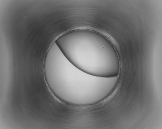 X0000112500993200908171008