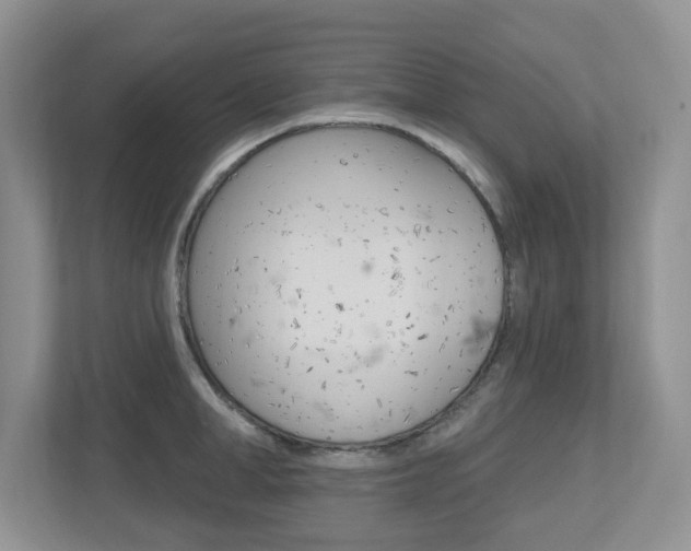 X0000112500998200908171007