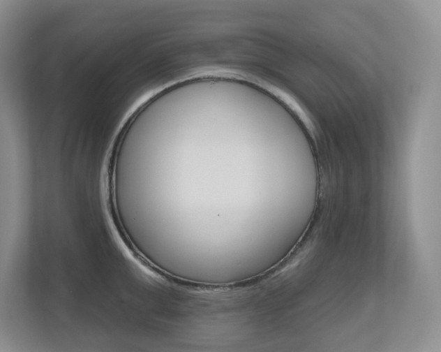 X0000112500999200908171007