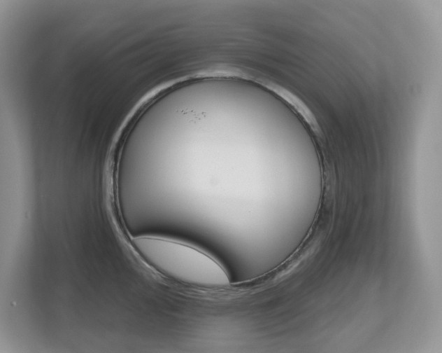 X0000112501000200908171007