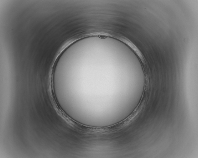 X0000112501002200908171007