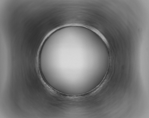 X0000112501004200908171007