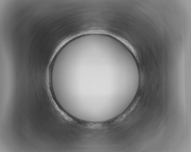 X0000112501006200908171007