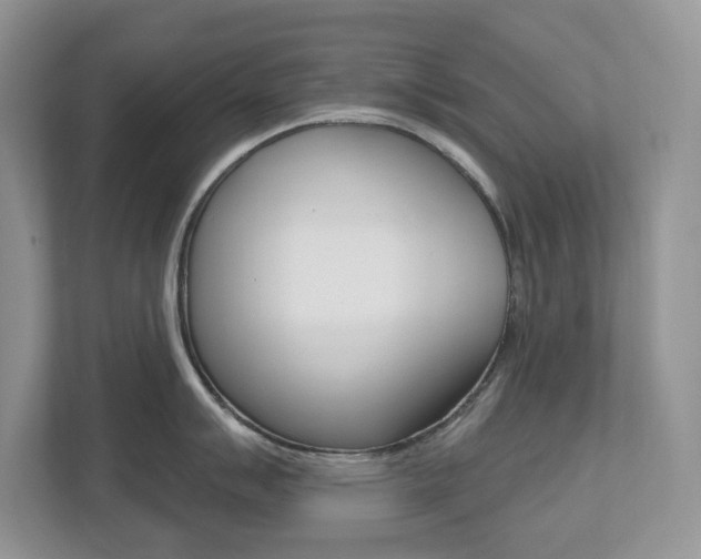 X0000112501007200908171007