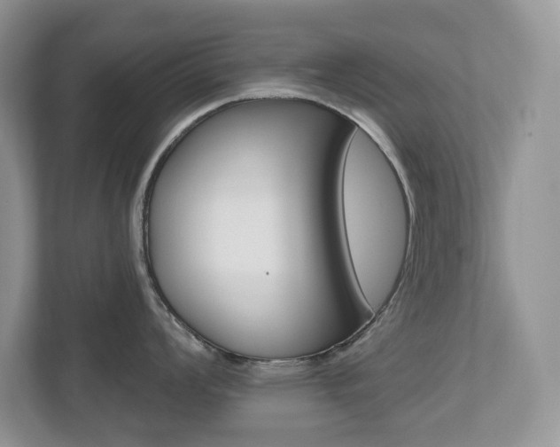 X0000112501008200908171007