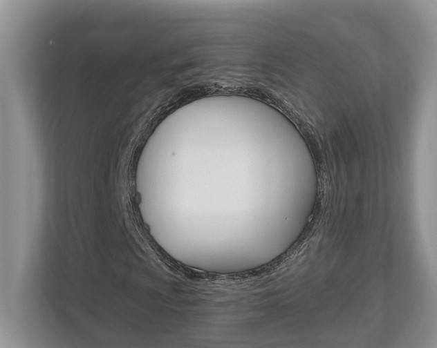 X0000112501009200908171007