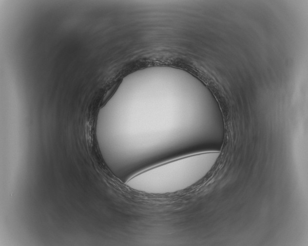 X0000112501010200908171007
