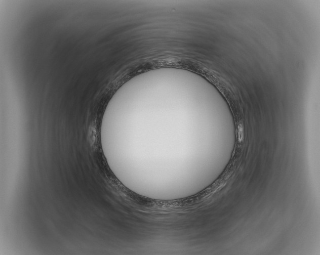 X0000112501011200908171007