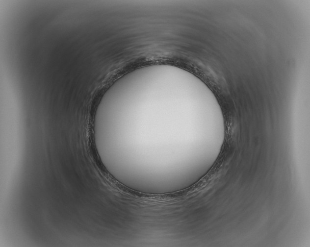 X0000112501012200908171007