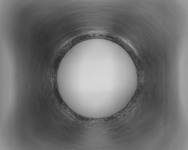 X0000112501015200908171007
