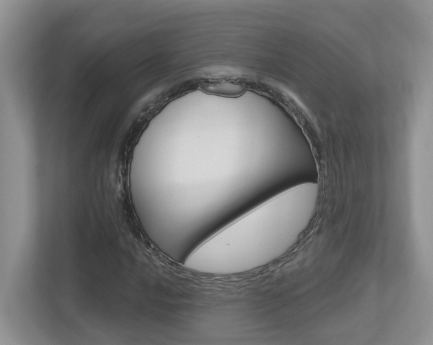 X0000112501016200908171007