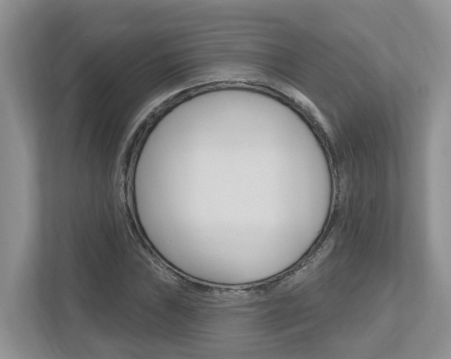 X0000112501019200908171007