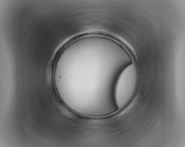 X0000112501021200908171007