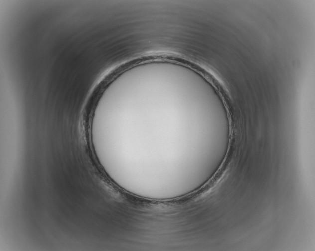 X0000112501022200908171007