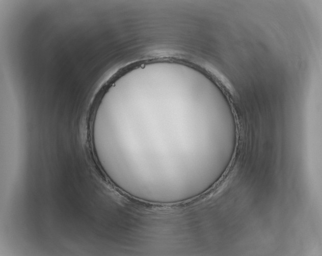 X0000112501023200908171007