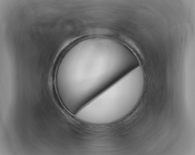 X0000112501024200908171007