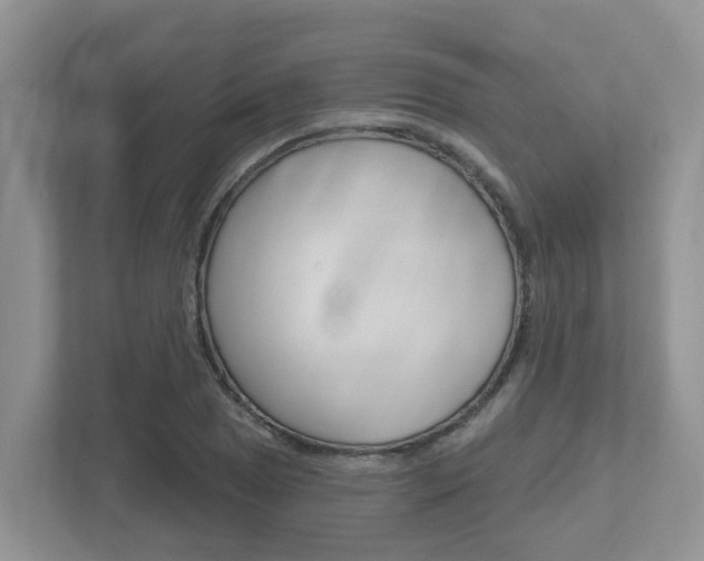 X0000112501025200908171007