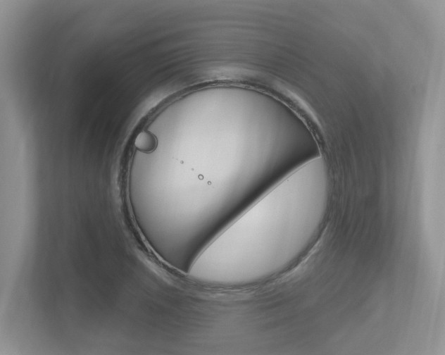 X0000112501026200908171007