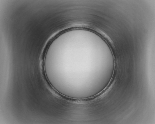 X0000112501029200908171007