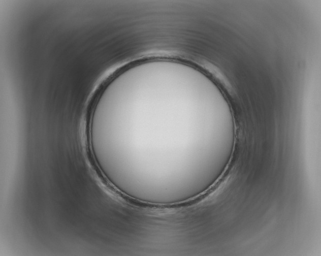 X0000112501030200908171007