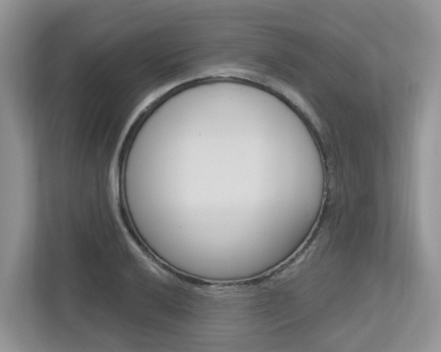 X0000112501032200908171007