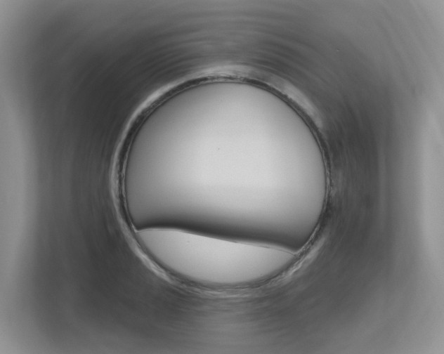 X0000112501037200908171007