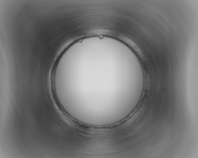 X0000112501039200908171007