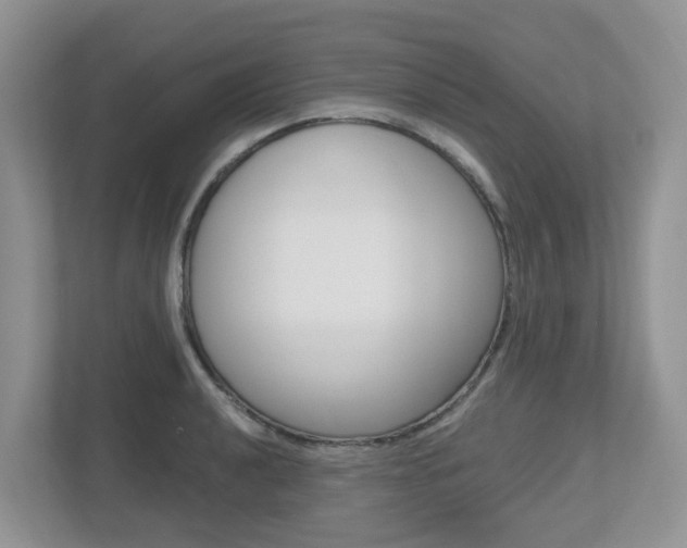 X0000112501040200908171007