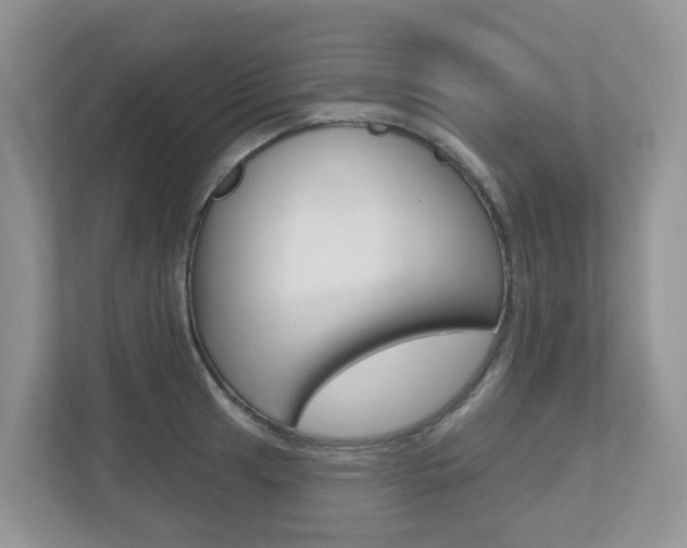 X0000112501041200908171007