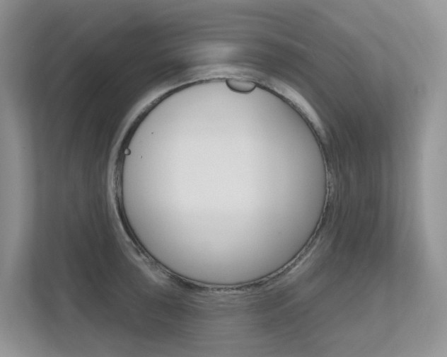 X0000112501043200908171007