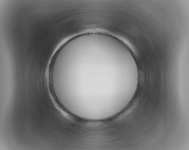 X0000112501046200908171007