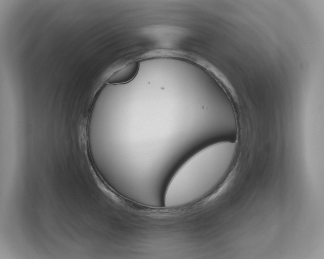 X0000112501049200908171007