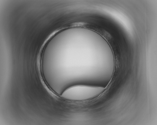 X0000112501054200908171007