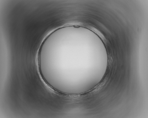 X0000112501055200908171007