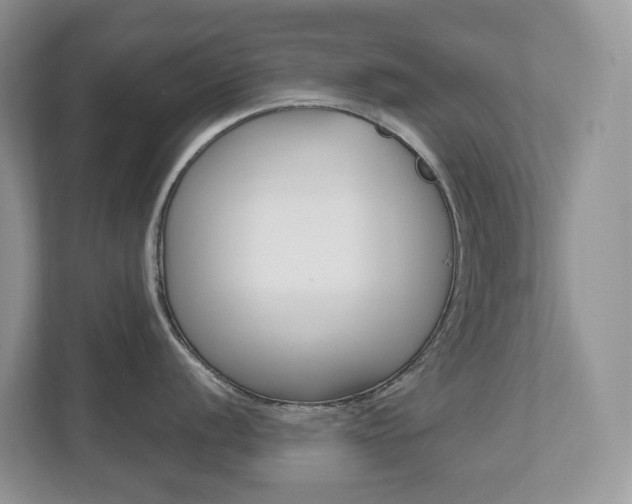 X0000112501056200908171007