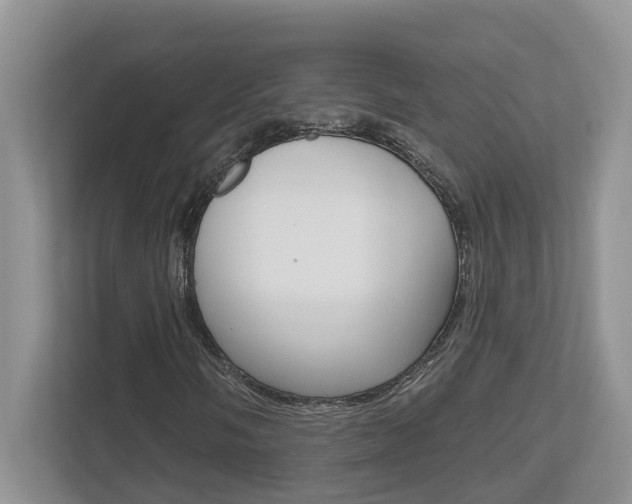 X0000112501058200908171007