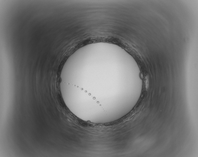 X0000112501059200908171007