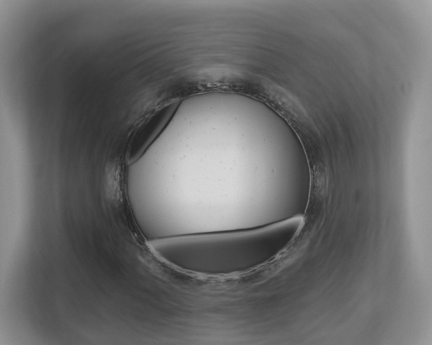 X0000112501060200908171007