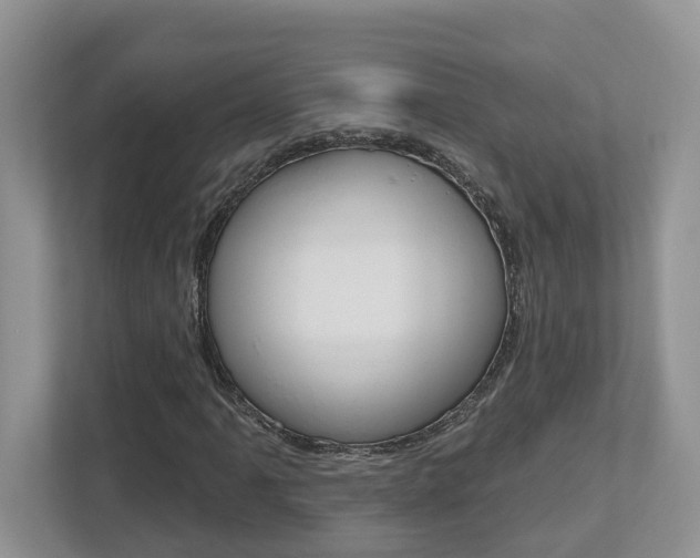 X0000112501061200908171007