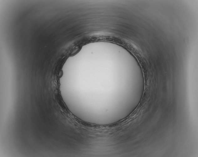 X0000112501062200908171007