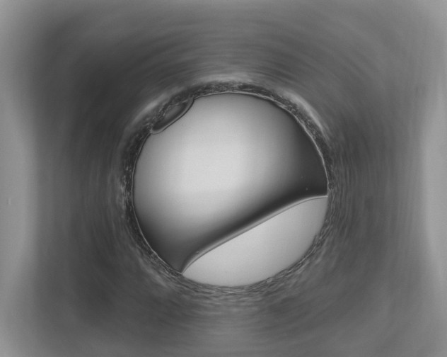 X0000112501064200908171007